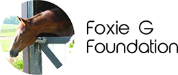 Foxie G Foundation