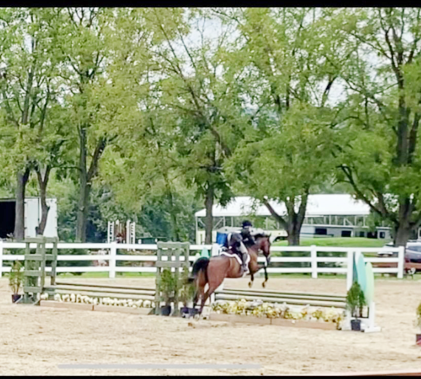 Timber jumping